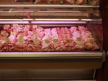 SELF CONTAINED MEAT CASE